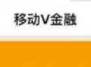 移动V金融