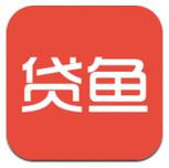 小贷鱼
